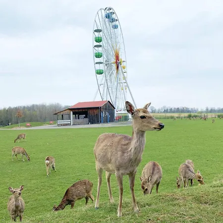 Am Sonnenlandpark Lichtenau (Saxony)