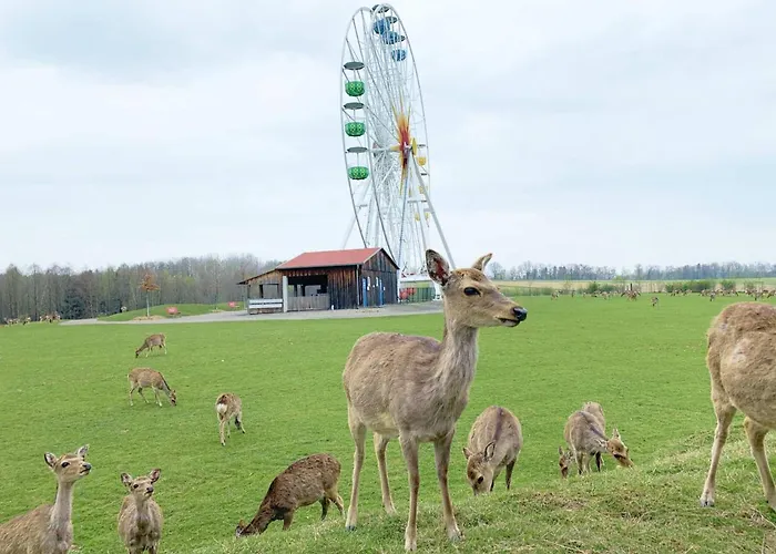Am Sonnenlandpark Lichtenau (Saxony)
